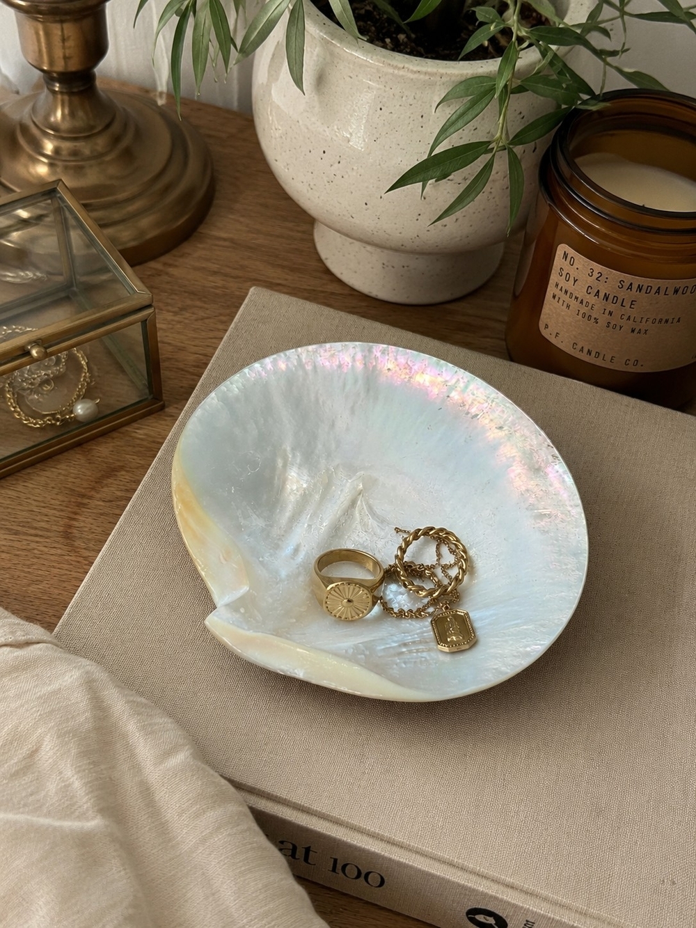 Vintage Iridescent Mother of Pearl Abalone Decorative Dish